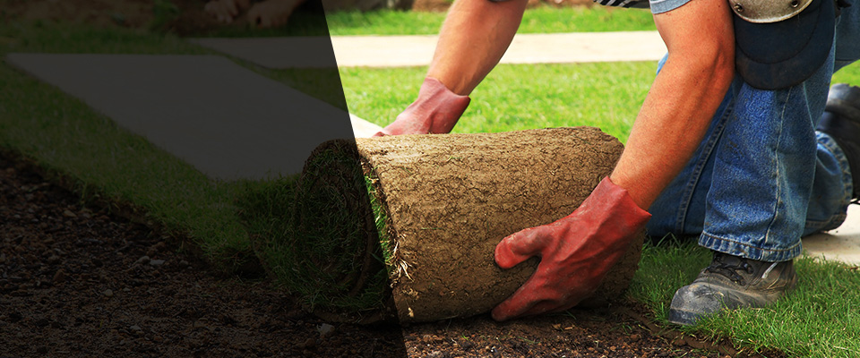 Afton Landscapers
